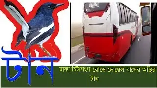 Best High Speed Bus Doel Paribahan.
