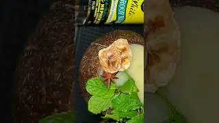 Frozen Banana Tiki Cocktail #shortsfeed #deezcocktails #howto #shorts #cocktails #recommended