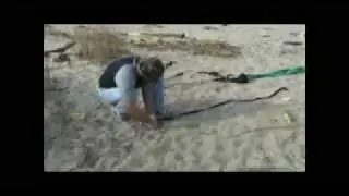 KiteBuddy Anchor.flv
