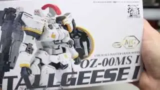 067 -DM Tallgeese I UNBOXING
