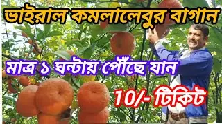ভাইরাল কমলালেবুর বাগান | সিটং | 10/- টিকিটে সিটং এর অনুভূতি |  One day tourist spot near kolkata |