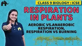 Respiration in Plants Class 9 ICSE Biology  | Selina Chapter 7| Aerobic vs.Anaerobic Respiration