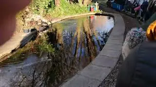 Miniature Railway ride @ York Railway Museum 3/1/26