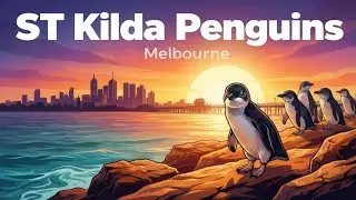 Nature's little wonders on Melbourne&rsquo;s doorstep | 𝕊 𝕋 Kilda ℙenguins 🐧