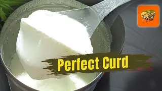 Perfect Curd at Home | Thick & Creamy Dahi Recipe | Foolproof Method