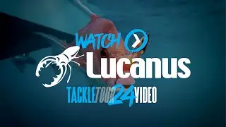 SHIMANO TACKLE TOUR 2024: Lucanus Jigs