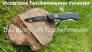 Victorinox Forester - Das Messer für den Wald.