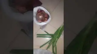 Amazon fresh vegetables