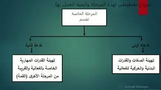 مراحل التدريب الرياضي