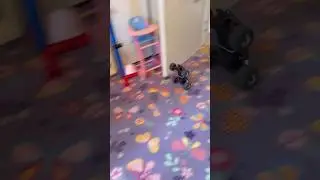 Rc car #rc #satisfying