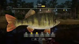 RF4 &ndash; Trophy Perch on a Winding Rivulet