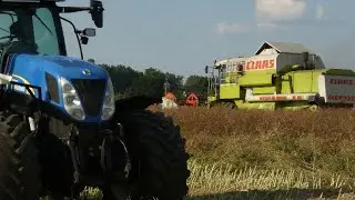 KOSIMY RZEPAK🌾 DZIAŁAMY W TRANSPORCIE💪🏽🔥 [AGRO MARSZAŁ]