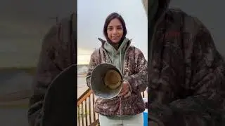 Old traditional moose call!