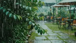 Rain Falling on Stone Path | Relaxing Outdoor Ambience, No Music