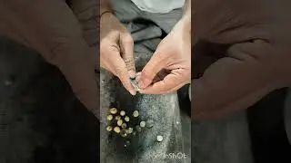#ayu #ayurvedic #kuchla#zer kochla#nux vomica