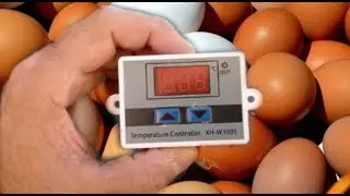 Cómo hacer una incubadora casera con termostato XH W3001