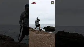Cabrilla de 4 kilos. #fishing #pesca