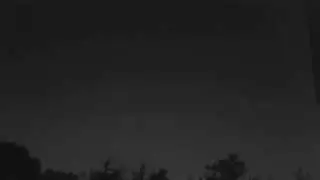 Bats at Night