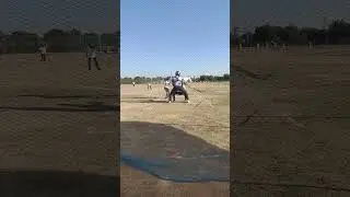 #softballdrills #softballtraining #softballlove #usasoftball #softball #youtubeshorts