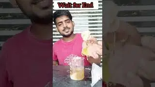 🔥 Rose vs Sampoo water 48 hours simple experiment #shorts