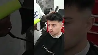 Warrior cut | Shearperfection