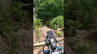Cool Trails Enduro MTB 🤤 #mtb #cycling #mountainbiking #enduromtb #mtbtrails #short