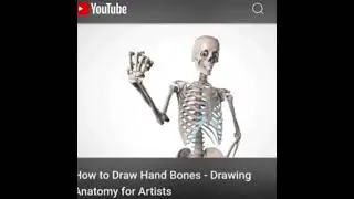 How to draw hand bones