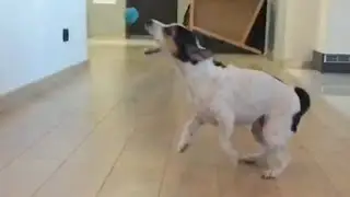 Начало Обучения с iFetch