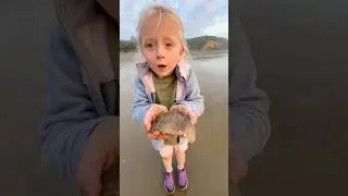 Rescuing Big Slimy Jellyfish! 🪼 #animals #nature