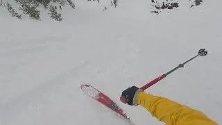 Telemarking Bogićevica