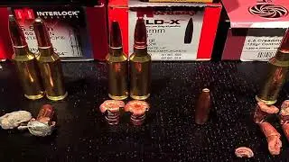 6.5 Creedmoor Deer & Hog Bullet Options (Dec. 2017)