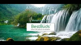 BestBuds Moment of Zen