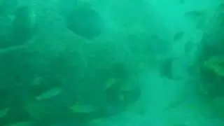 Beautiful artificial dive site in Qatar