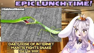 Henya Epic Lunch Time! Daily Dose of Internet: Praying Mantis Fights Off Snake (May 26, 2025)