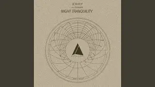 Night Tranquility (Dyukanya Remix)