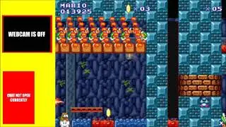 Playing 1 Custom Super Mario Flash Level (Season 3, Episode 15)