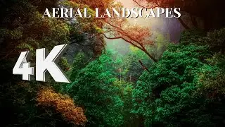 4K Relaxing Flute Music for Stress Relief | Calm & Healing Sounds