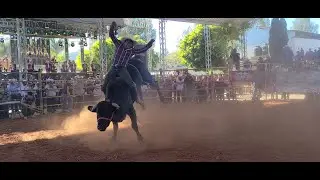 Torneo de ganader&iacute;as de 60,000 pesos en san juan mixtepec, la picosa banda hernandez, fiesta mixteca