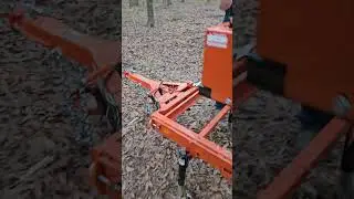 Sawmill Magic: Wood-Mizer LT15 turns Loblolly Pine into treasure!