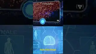 The Brain's Data Storage. #shortsfeed#shorts #shortsvideo 🧠