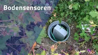 Bodensensoren f&uuml;r Jungb&auml;ume