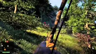 FC4 Honey badger
