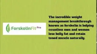 forskolin supplement