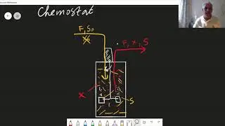 Chemostat (continuous CSTR)  from transient to steady-state (part1: analysis)