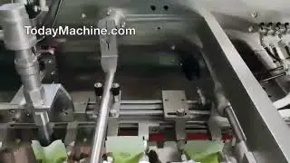 Automatic Horizontal Premade Pouch Packing Machine for Cookies