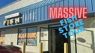 Local Fish Store TOUR!