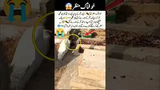A Chilling Moment by the Grave 🕯️👀 #SpookyScene #CreepyVibes #Unexpected #Mystery #ShortClip