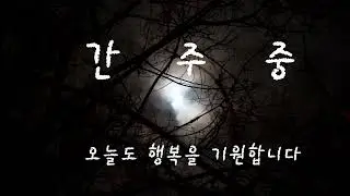 감나무골,나훈아 D테