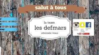 les defmars vous pr&eacute;sente live sur bullet party 2