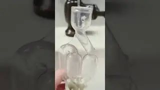 ASMR 